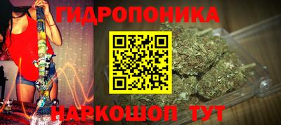 стафф Аргун