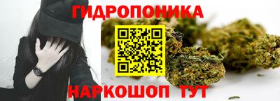 стафф Аргун