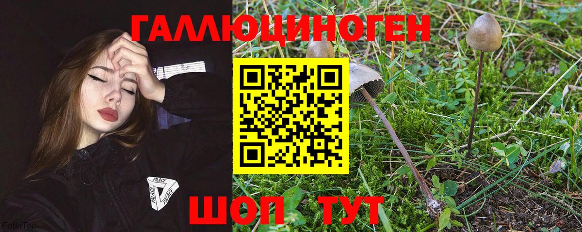 Артём  Галлюциногенные грибы ЛСД  наркота  Вход с VPN 