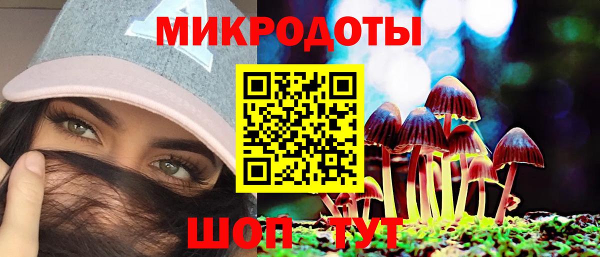 Галлюциногенные грибы мицелий  Артём 